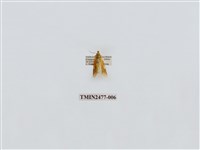 藏品(紅斑美苔蛾)的圖片